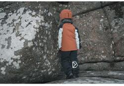 Didriksons Детски ски панталон IDRE KIDS PANTS (504357) - answear - 97,77 лв