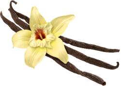 Warrior WPC 80 CFM - tejsavó protein