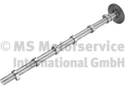 BF vezérműtengely BF 20100911001 for DAF (20100911001)