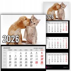 Plaka_TY Háromrészes naptár 2026-re Kis barátok Prémium|többféle minta (Mali przyjaciele)