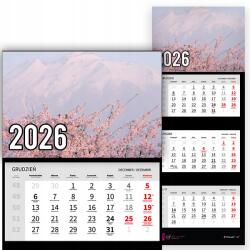 Plaka_TY Háromrészes naptár 2026-re Vulkán a virágzó fák hátterében Prémium|Wz (Wulkan w tle kwitnących drzew)