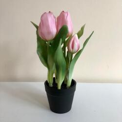 Kreatív Cserepes tulipán világos rózsaszín élethű nagy virágú