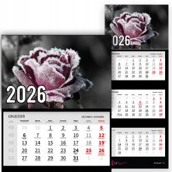 Plaka_TY Háromrészes Naptár 2026-re Téli rózsa Prémium Fali minták (Zimowa róża)
