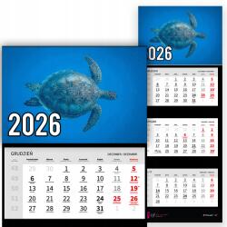 Plaka_TY Háromrészes naptár 2026-re Tengeri teknős a vízben Prémium|Falra szerelhető (Żółw morski w wodzie)