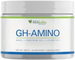 HS Labs GH Amino [200 грама]