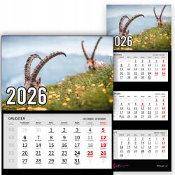 Plaka_TY Háromrészes naptár 2026-re Antilop a természetben Prémium|többféle minta (Antylopa w naturze)