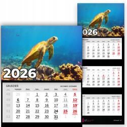 Plaka_TY Háromrészes Fali Naptár 2026-re Függő Irodai Teknős Többféle Minta (Kalendarz Rok 2026 Żółw Wzory)