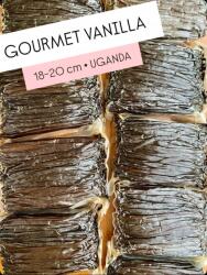 Vanília 18-20 cm-es (100 g) prémium Gourmet hüvelyek Ugandából