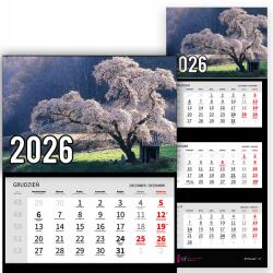 Plaka_TY Háromrészes naptár 2026-re Cseresznye a tisztáson Prémium|többféle minta (Wiśnie na polanie)