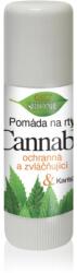 Bione Cosmetics Cannabis ajakpomádé 11 ml