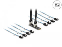 Delock Converter M. 2 2280 kulcs B+M dugó 8 x SATA-hoz (64211) - flylite