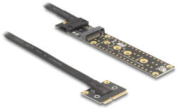Delock adapter Mini PCIe apa M. 2 Key M anya csatlakozóra 20 cm-es kábellel (81501) - flylite