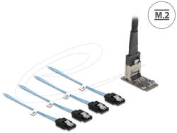 Delock Vezérlő M. 2 2242 kulcs B+M apa - 4 x SATA 1 m hosszú kábellel (64260) - flylite