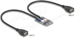 Delock Mini PCIe adapter teljes méret - 2 x USB 2.0 A-típus anya 30 cm (64346) - flylite