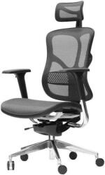 Spinergo Business, szürke