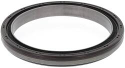 CORTECO Tesniaci krúżok kľukového hriadeľa CORTECO 19019103B (19019103B)