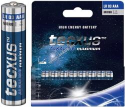 tecxus Alkaline maximum LR03/AAA (Micro) elem 1, 5V 10db/csomag alkáli-mangán
