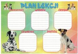 Polsyr Órarend kis matrica formájában Ideális. füzethez vagy tolltartóhoz (5902022130343)