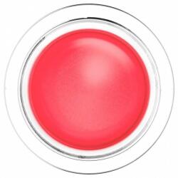 Maybelline Machiaj Ten Cloudtopia Multifunctional Blush 5 g