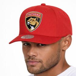 Mitchell & Ness snapback NHL Florida Panthers Team Ground 2.0 Pro Snapback red