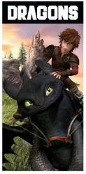 Carbotex Így neveld a sárkányodat fürdőlepedő, strandtörölköző 70x140cm (HTTYD241033-R)