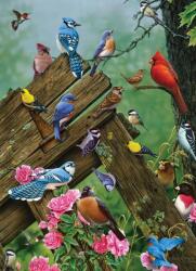 Cobble Hill - Puzzle Birds of the Forest - 1 000 piese