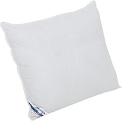 Alcam SaniMed Alcam párna 70x70x10 cm, hipoallergén steppelt mikroszálas anyagból, szilikon szálas töltettel és SilverPlus® kezeléssel