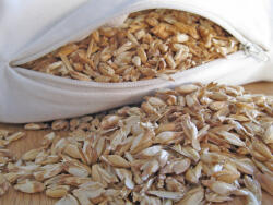 PinkTara Bio Tönkölypelyva töltet