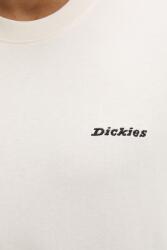 Dickies Дънки Dickies (DK0A88K4RI21)