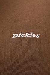Dickies Суичър Dickies (DK0A889X0TB1)
