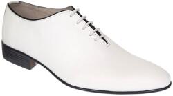 Ellion Pantofi barbati albi eleganti din piele naturala Elion - 024AN, marimea 38