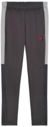 PUMA IndividualLIGA , Gri , L