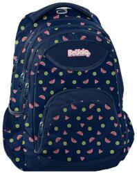 PASO Rucsac școlar Paso Fruits (PPFR20-2708/16)