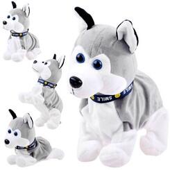 Jokomisiada Husky interactiv ZA1333 (5905258505848)