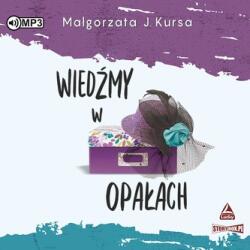 Małgorzata Kursa CD MP3 Wiedźmy w opałach