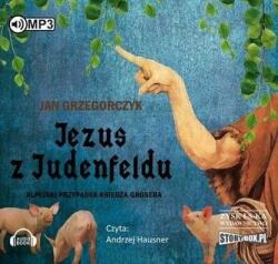 Jan Grzegorczyk Jezus z Judenfeldu. Alpejski przypadek. . . Audiobook