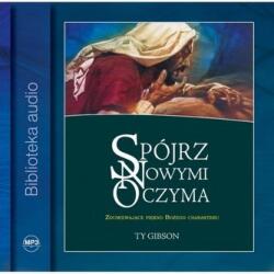 Ty Gibson Spójrz nowymi oczyma Audiobook