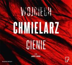 Wojciech Chmielarz Cienie audiobook