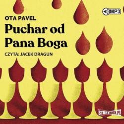 Ota Pavel Puchar od Pana Boga audiobook