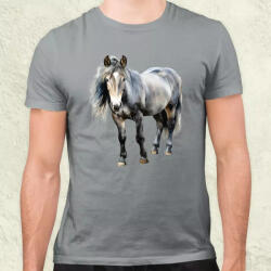 Magnolion Izlandi ló v2 férfi póló (7781)