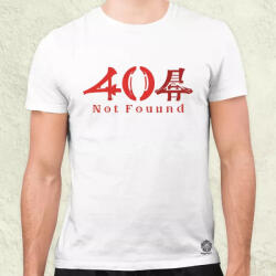 Magnolion 404 not found v3 férfi póló (25910)