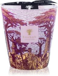 Baobab Collection Sacred Trees Massasso lumânare parfumată 1000 g