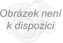 Altisport Női prémium ing ALTISPORT VOJ/ALW049KOS01 FEHÉR/LILA méret: XXXL
