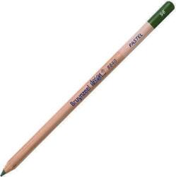 Royal Talens Design Pastel Creion pastel 96 Sap Green 1 buc (<![CDATA[884096K]]>)