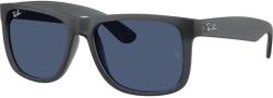 Ray-Ban RB4165 687380 (RB4165 687380) Слънчеви очила