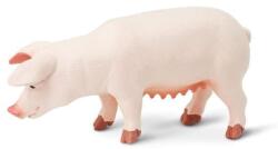 Safari Ltd Safari® Porc (S161029) Figurina