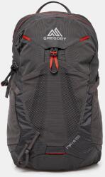 Gregory rucsac Maya 20L 99KK-PKD04R_90X (MAYA.20)