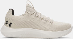 Under Armour Férfi cipők Under Armour UA Dynamic 2-BRN (3028076-289)