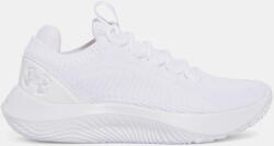 Under Armour Női cipők Under Armour UA W Dynamic 2 (3028077-100)