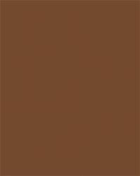 FOLIA Dekorkarton, 2 oldalas, 50x70cm, 220 g, 10 lap, FOLIA, csokoládébarna (FL61221085) - iroda24